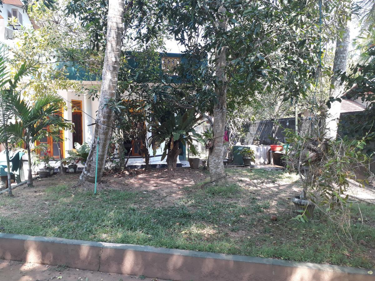 Guesthouse Sunshine Aluthgama Exterior photo